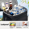 16L Double Compartment Insulated Cooler Bag