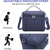4L/8L Insulated Lunch Cooler Bag