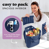 Fit Fresh Carefree Cooler Collection Insulated Leakproof Water Resistant Tote Mini Sling Bag